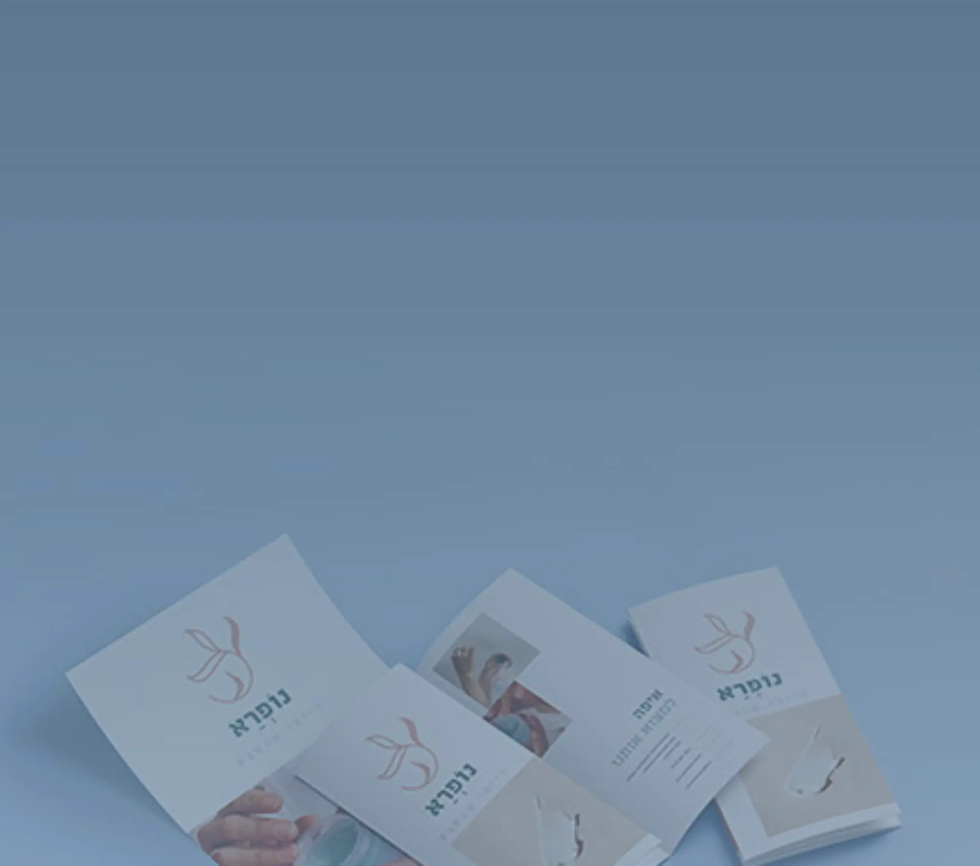 פליירים וברושורים