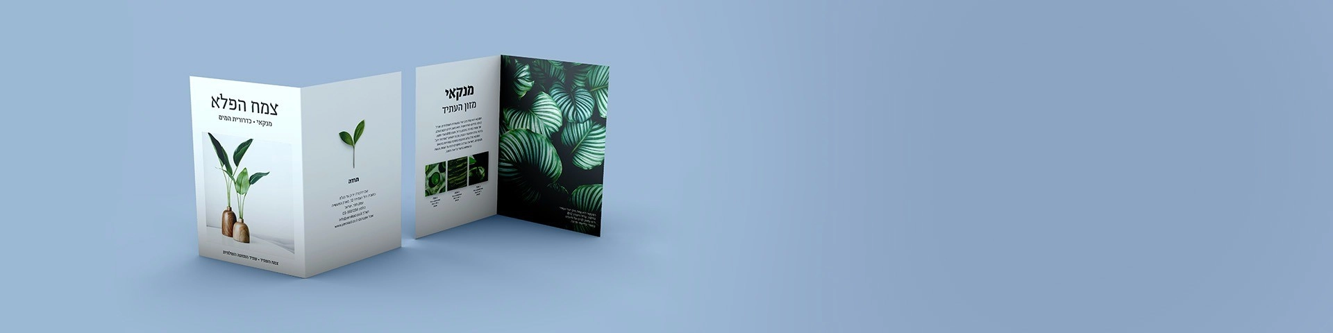 פלייר קיפול אחד