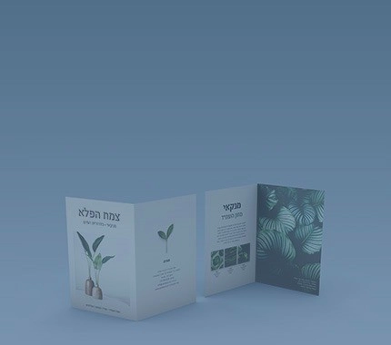 פלייר קיפול אחד