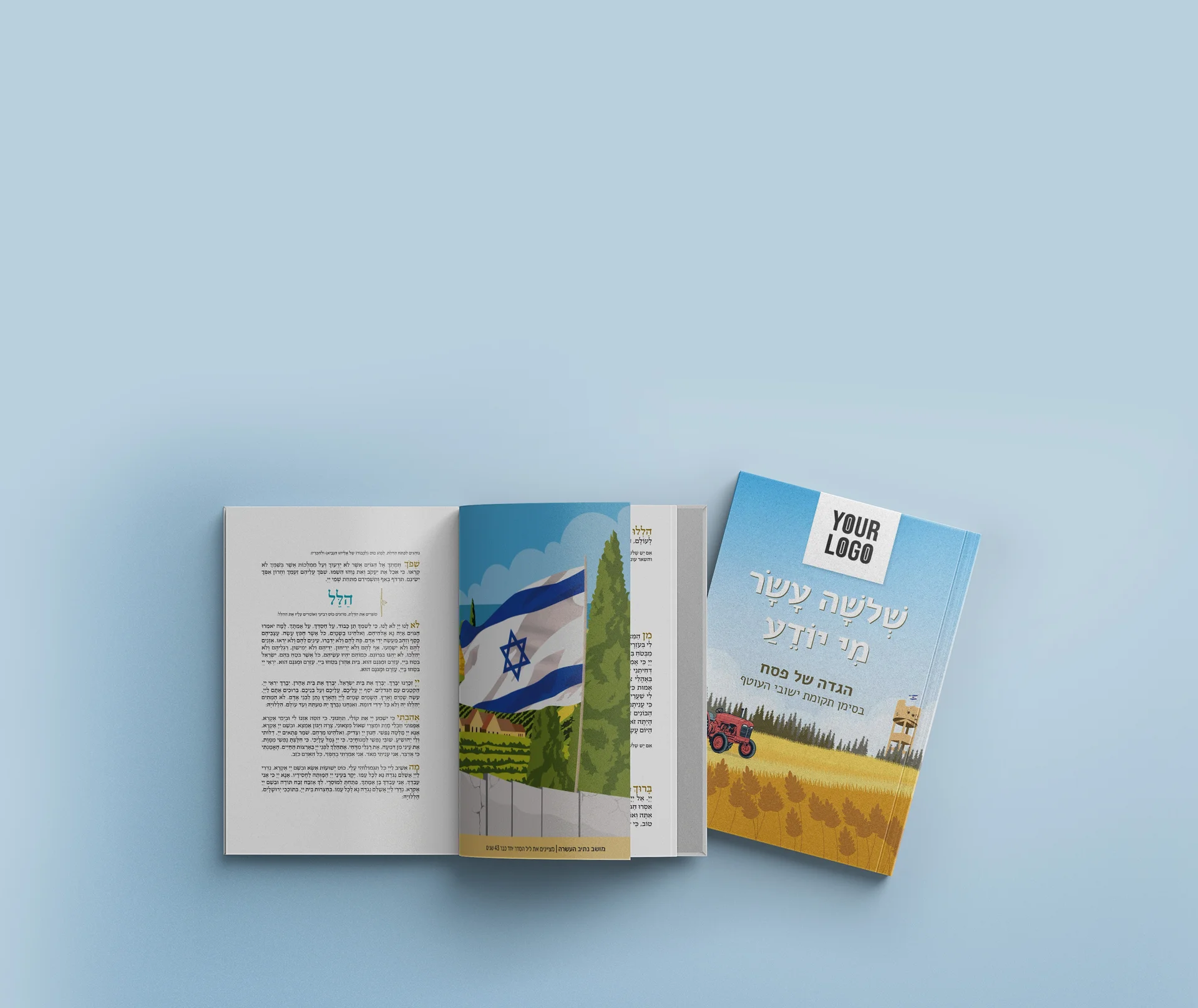 הגדה לפסח בכריכה רכה