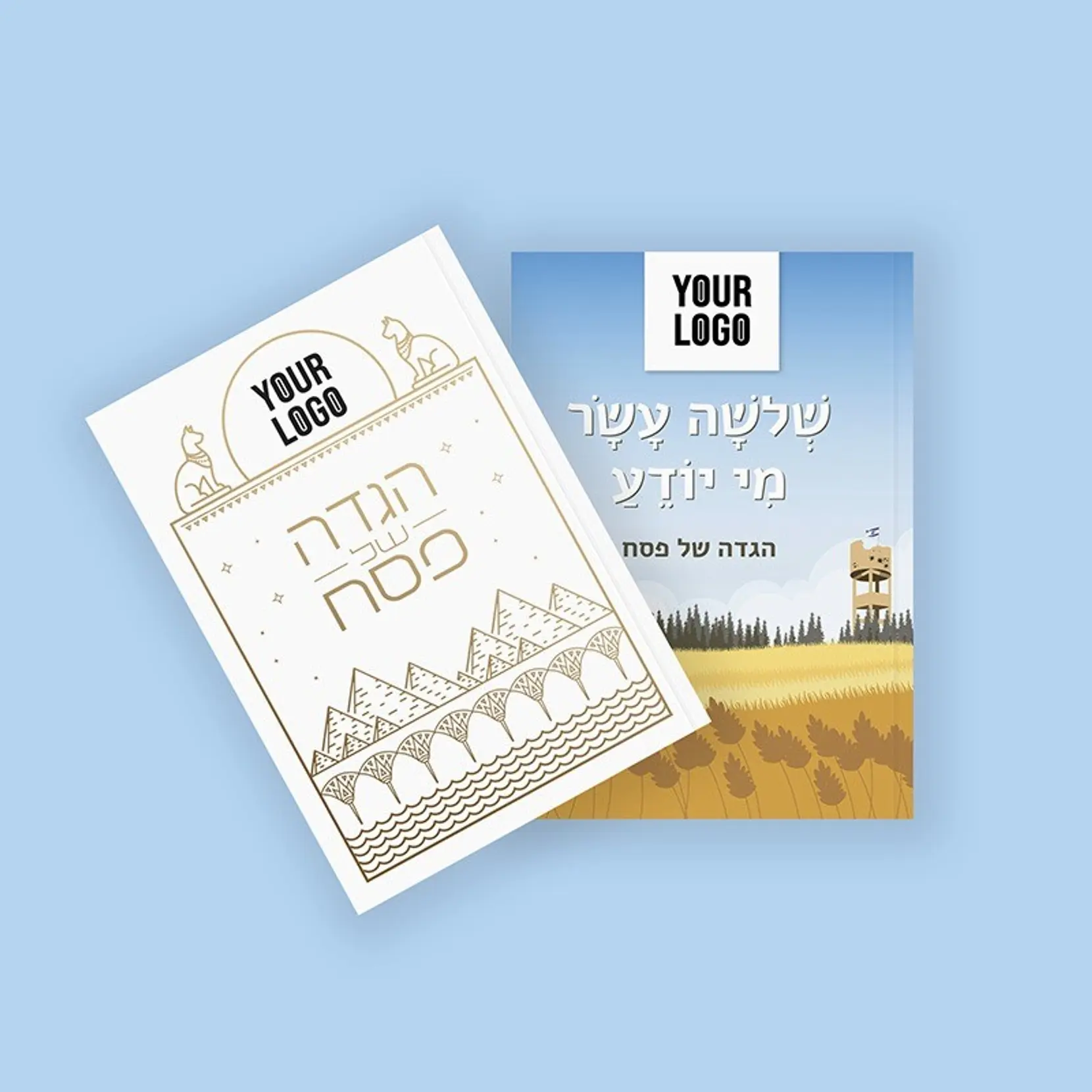 הגדה לפסח בכריכה רכה