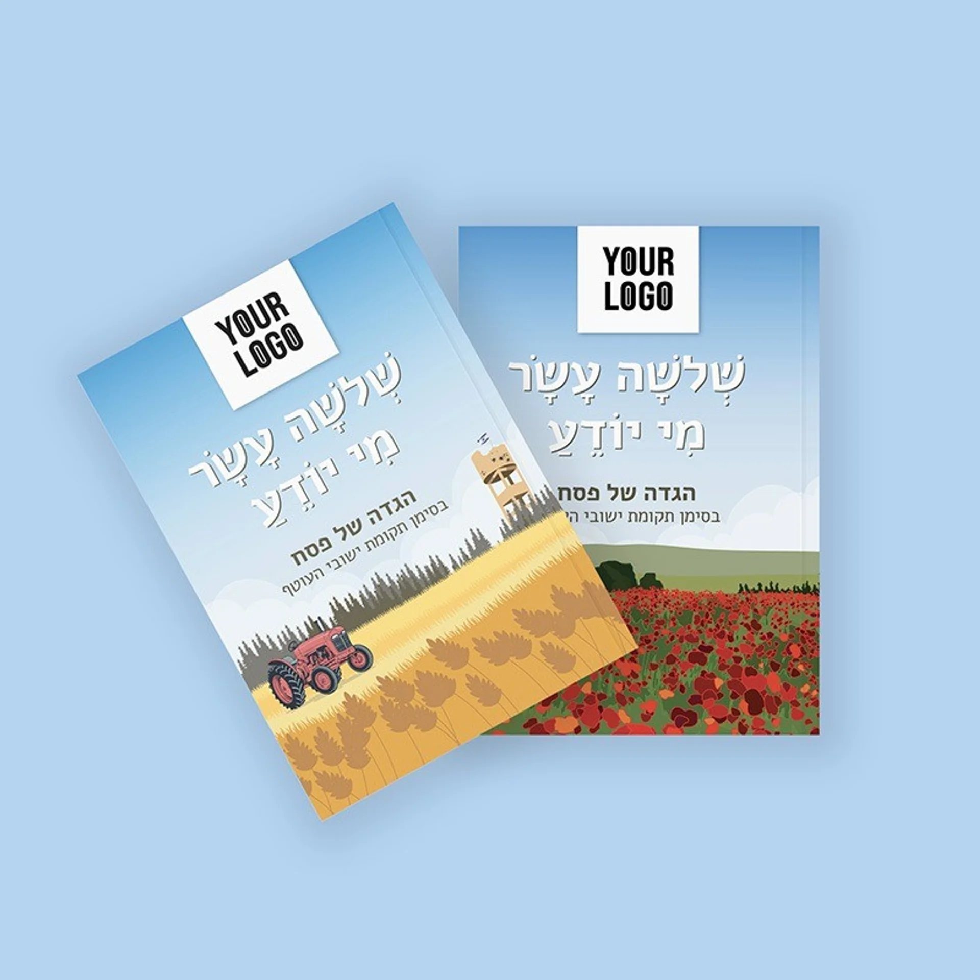 הגדה לפסח בכריכה רכה