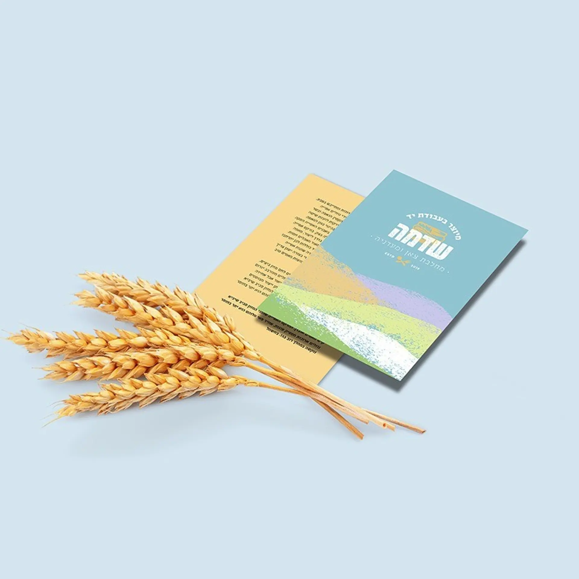 גלויות ברכה