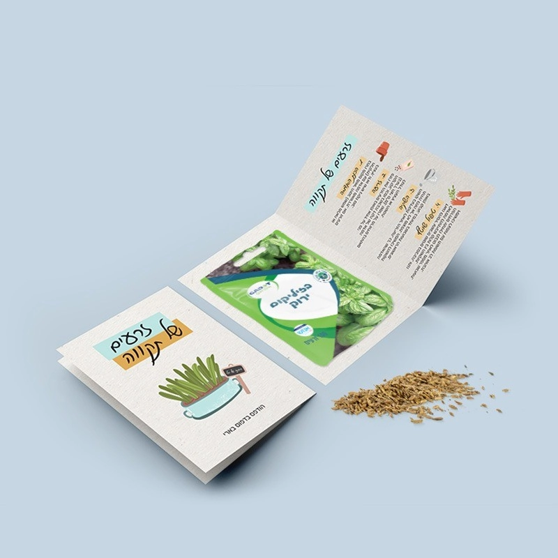 זרעים של תקווה